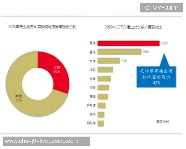 中国足球评论员深度解析中超联赛现状与未来发展趋势